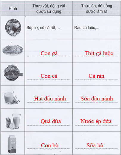 Vở bài tập Tự nhiên và xã hội lớp 3 trang 46, 47, 48, 49 Bài 14: Sử dụng hợp lí thực vật và động vật - Cánh diều (ảnh 1)