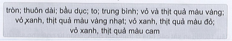 Vở bài tập Tự nhiên và xã hội lớp 3 trang 38, 39, 40, 41, 42 Bài 12: Các bộ phận của thực vật và chức năng của chúng - Cánh diều (ảnh 1)
