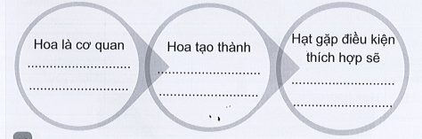 Vở bài tập Tự nhiên và xã hội lớp 3 trang 38, 39, 40, 41, 42 Bài 12: Các bộ phận của thực vật và chức năng của chúng - Cánh diều (ảnh 1)