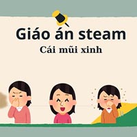 Giáo án steam: Cái mũi xinh