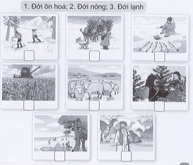 Vở bài tập Tự nhiên và xã hội lớp 3 trang 68, 69 Bài 21: Hình dạng Trái Đất. Các đới khí hậu - Cánh diều (ảnh 1)