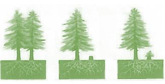 Đề cương ôn thi học kì 2 Sinh học 12 Chân trời sáng tạo