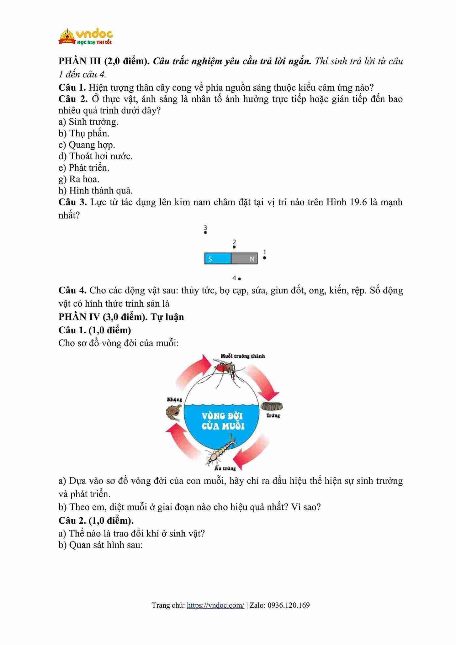 de thi cuoi hoc ki 2 lop 7 mon khoa hoc tu nhien sach ctst cv7991 hinh anh 2 1*697063