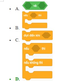 Đề cương học kì 2 môn Tin học 5 CTST