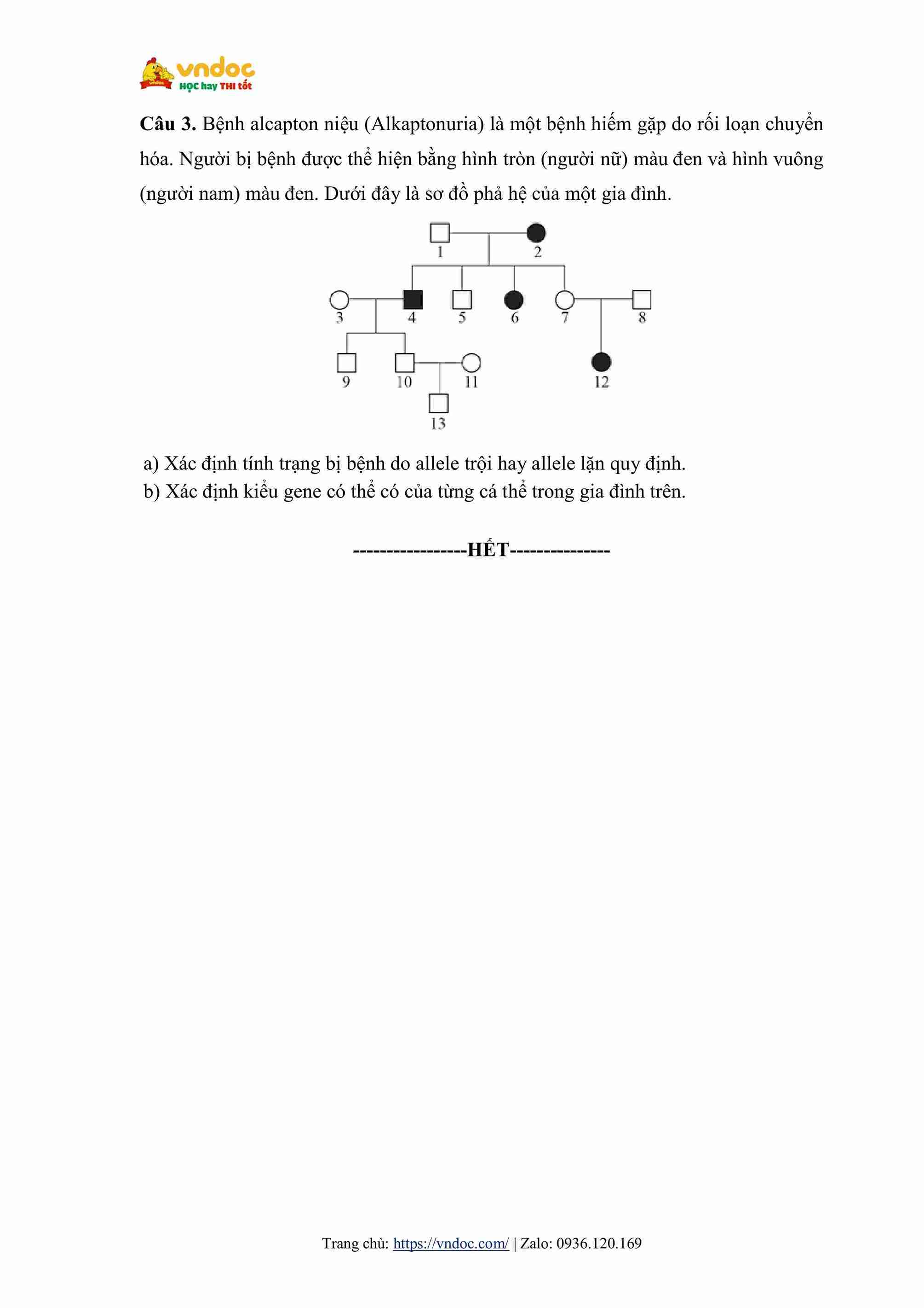 de thi hoc ki 2 khoa hoc tu nhien 9 chan troi sang tao hinh anh 3 1*697632