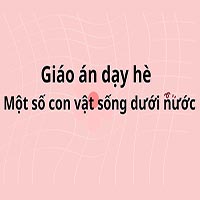 Giáo án dạy hè lớp lá: Một số con vật sống dưới nước