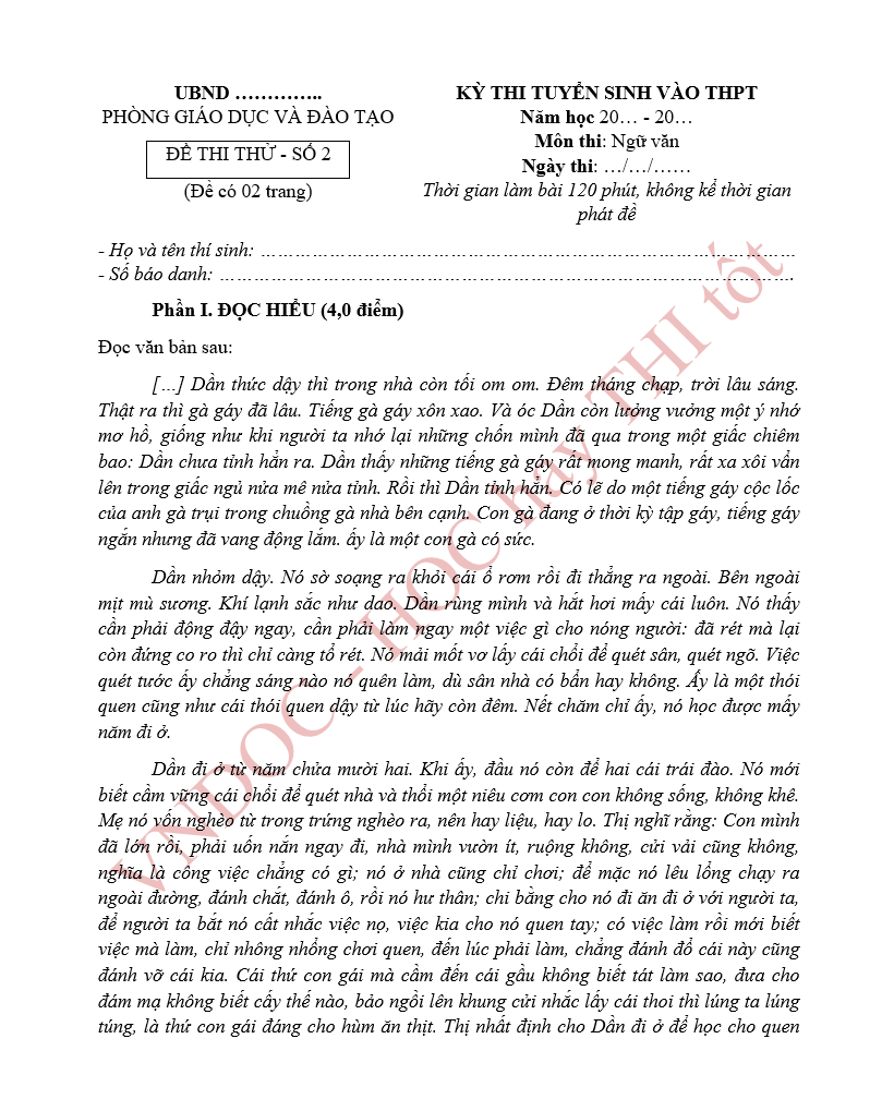 Đề thi thử vào 10 môn Văn năm 2025