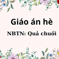 Giáo án dạy hè lớp nhà trẻ: Phát triển nhận thức NBTN quả chuối