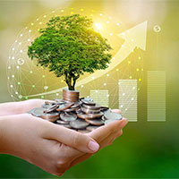 Giáo án Toán 8: Một vài ứng dụng của hàm số bậc nhất trong tài chính