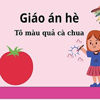 Giáo án dạy hè lớp nhà trẻ: Tô màu quả cà chua