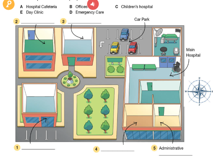 Tiếng Anh 11 Bright Workbook Unit 8 8c Listening