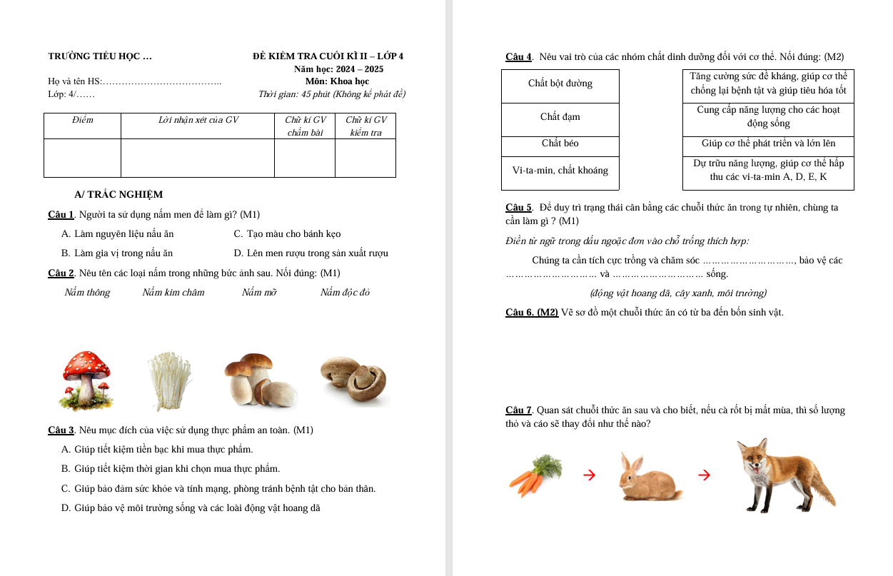 Đề thi cuối học kì 2 lớp 4 môn Khoa học Có đáp án