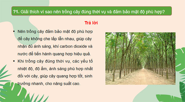 Giáo án Khoa học tự nhiên 7 Bài 23
