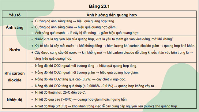 Giáo án Khoa học tự nhiên 7 Bài 23