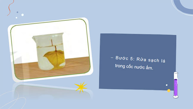 Giáo án Khoa học tự nhiên 7 Bài 24