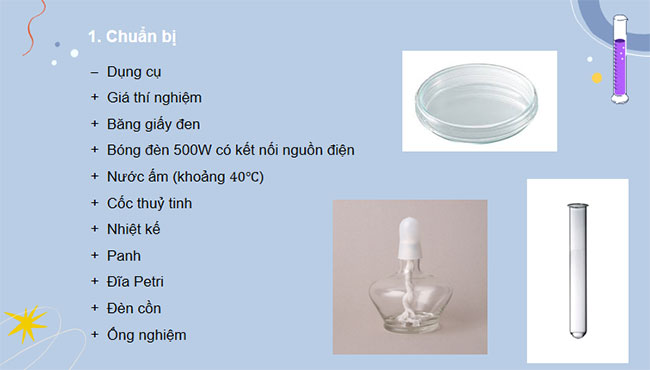 Giáo án Khoa học tự nhiên 7 Bài 24