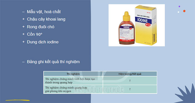 Giáo án Khoa học tự nhiên 7 Bài 24