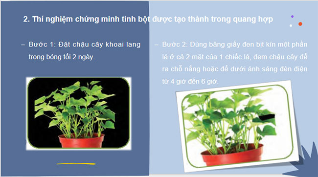 Giáo án Khoa học tự nhiên 7 Bài 24
