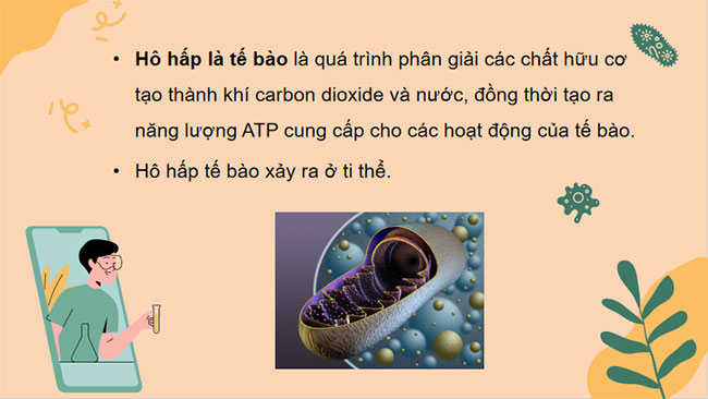 PowerPoint KHTN 7 Bài 25