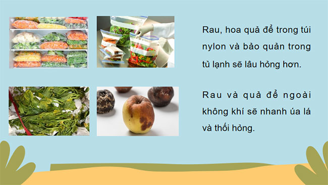 PowerPoint KHTN 7 Bài 26 Kết nối tri thức