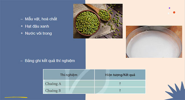 PowerPoint KHTN 7 Bài 27