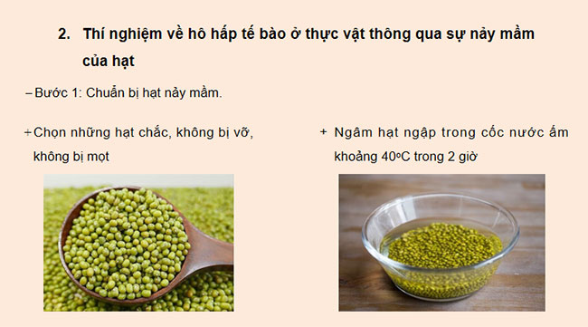 PowerPoint KHTN 7 Bài 27