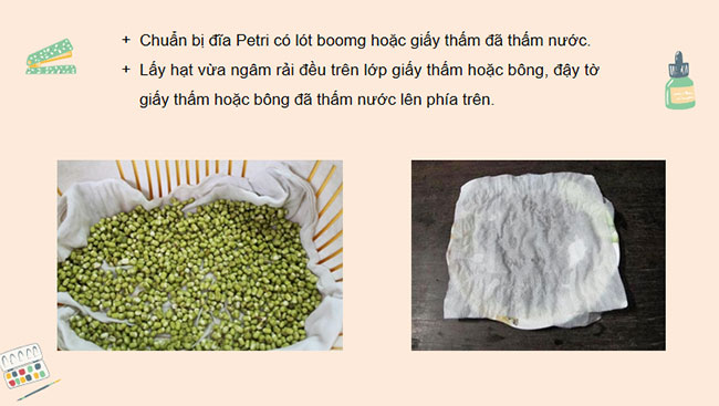 PowerPoint KHTN 7 Bài 27