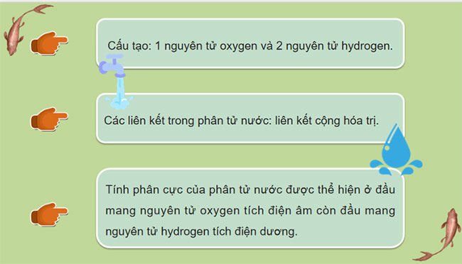 PowerPoint KHTN 7 Bài 29