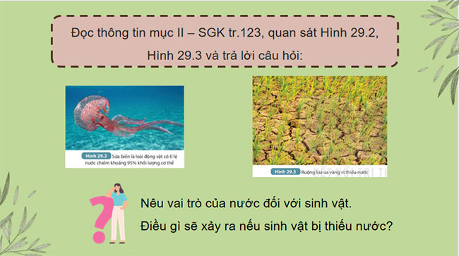 PowerPoint KHTN 7 Bài 29