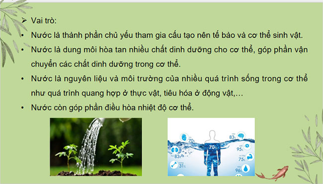 PowerPoint KHTN 7 Bài 29