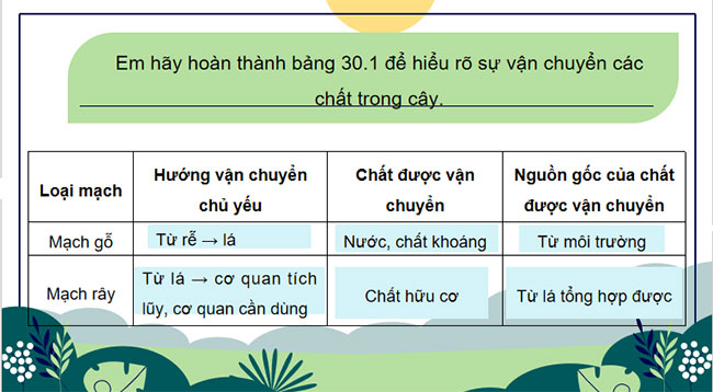 Giáo án Khoa học tự nhiên 7 Bài 30