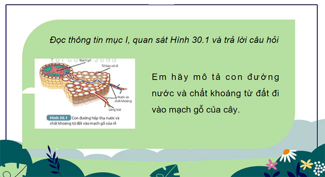 Giáo án Khoa học tự nhiên 7 Bài 30