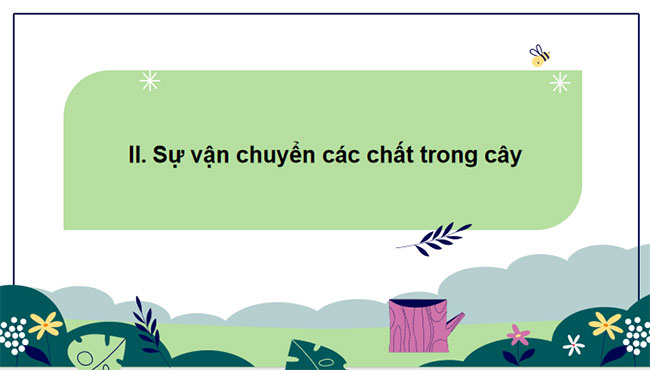 Giáo án Khoa học tự nhiên 7 Bài 30