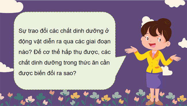 PowerPoint KHTN 7 Bài 31 Kết nối tri thức