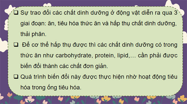 PowerPoint KHTN 7 Bài 31 Kết nối tri thức