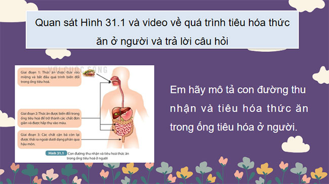 PowerPoint KHTN 7 Bài 31 Kết nối tri thức