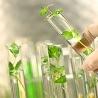 Giáo án Khoa học tự nhiên 7 Bài 22: Quang hợp ở thực vật