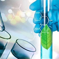 Giáo án Khoa học tự nhiên 7 Bài 23: Một số yếu tố ảnh hưởng đến quang hợp