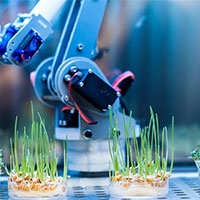 Giáo án Khoa học tự nhiên 7 Bài 30: Trao đổi nước và chất dinh dưỡng ở thực vật