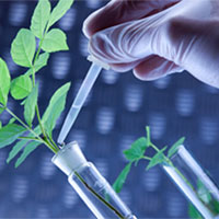 Giáo án Khoa học tự nhiên 7 Bài 31: Trao đổi nước và chất dinh dưỡng ở động vật