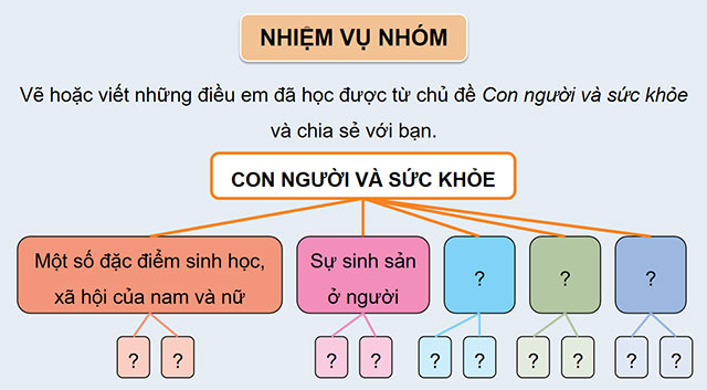 PowerPoint Khoa học 5 Ôn tập chủ đề Con người và sức khoẻ