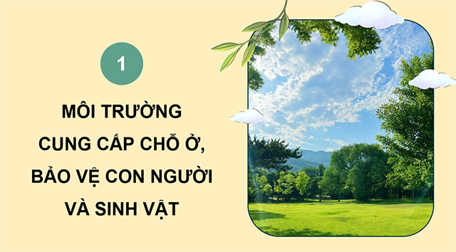 PowerPoint Khoa học 5 Chức năng của môi trường