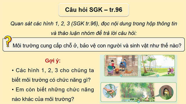 PowerPoint Khoa học 5 Chức năng của môi trường