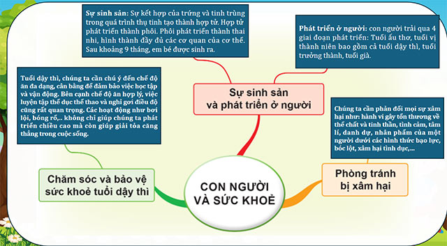 PowerPoint Khoa học 5 Ôn tập chủ đề Con người và sức khỏe