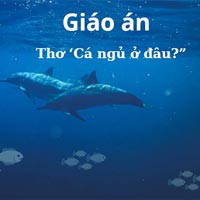 Giáo án: Thơ ‘Cá ngủ ở đâu’