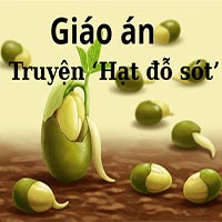 Giáo án: Truyện ‘Hạt đỗ sót’