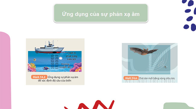 PowerPoint KHTN 7 Bài 14