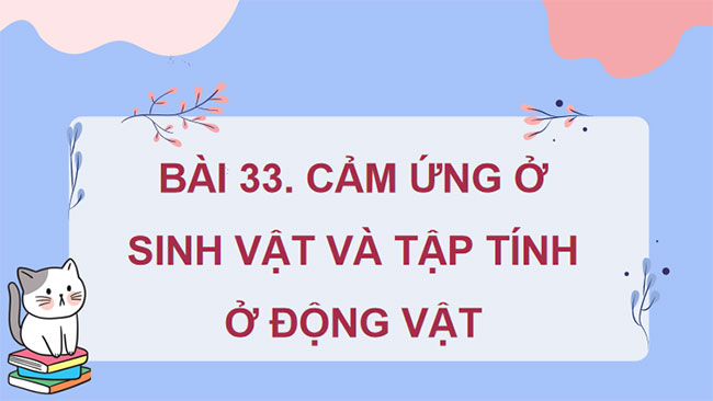 PowerPoint KHTN 7 Bài 33