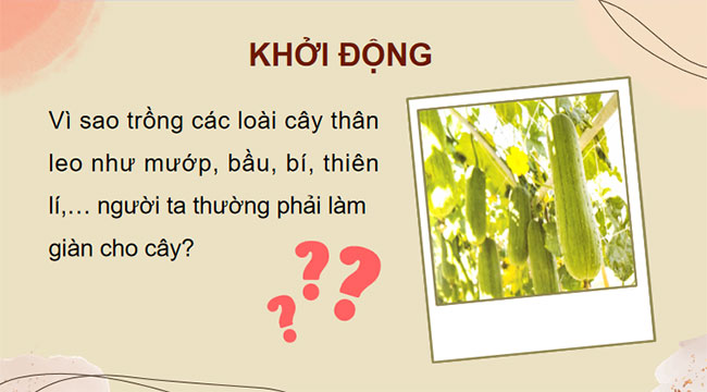 PowerPoint KHTN 7 Bài 34