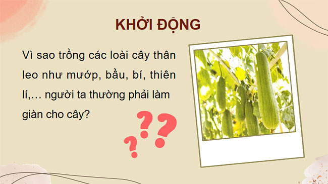 PowerPoint KHTN 7 Bài 34